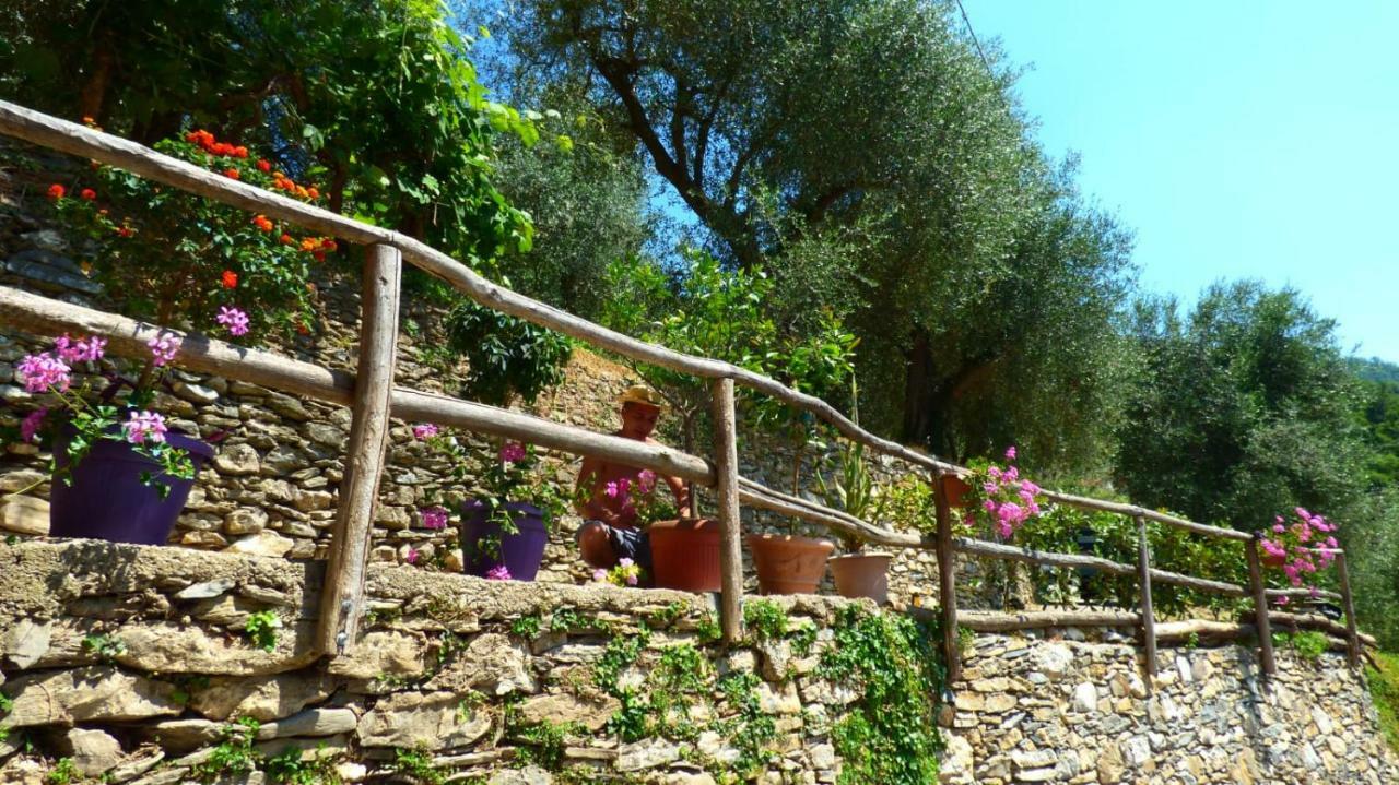 Casa Vacanze Sole Borghetto d'Arroscia Eksteriør billede